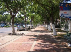 paseo Here's a paseo. Maybe if we add a Mariachi...