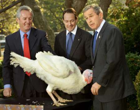 George knows all about turkeys