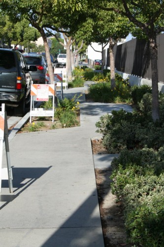 meandering sidewalk3