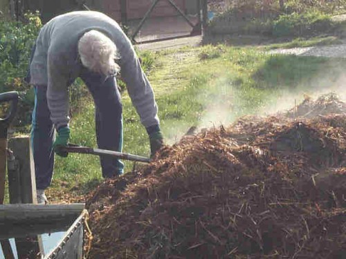 Former Fullerton City Manager Jim Armstrong shovelling hard.