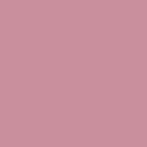Mauve Color
